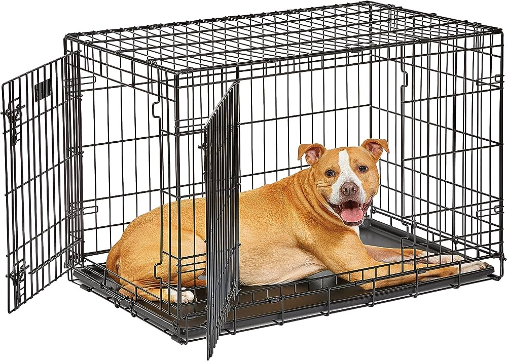 using a Dog Crate