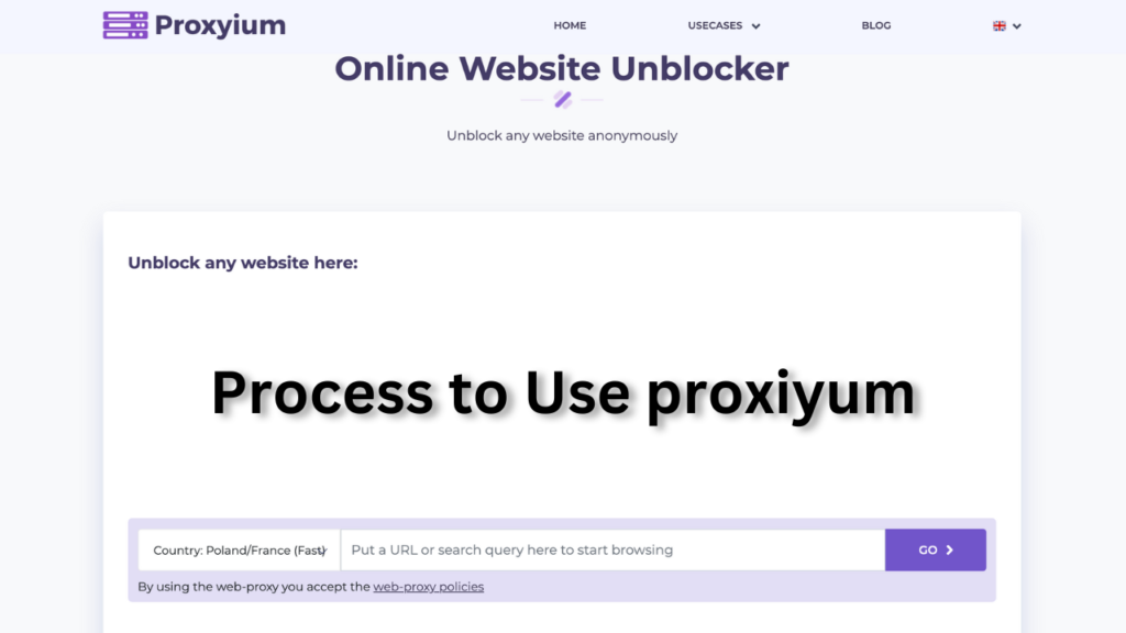 Process to Use proxiyum